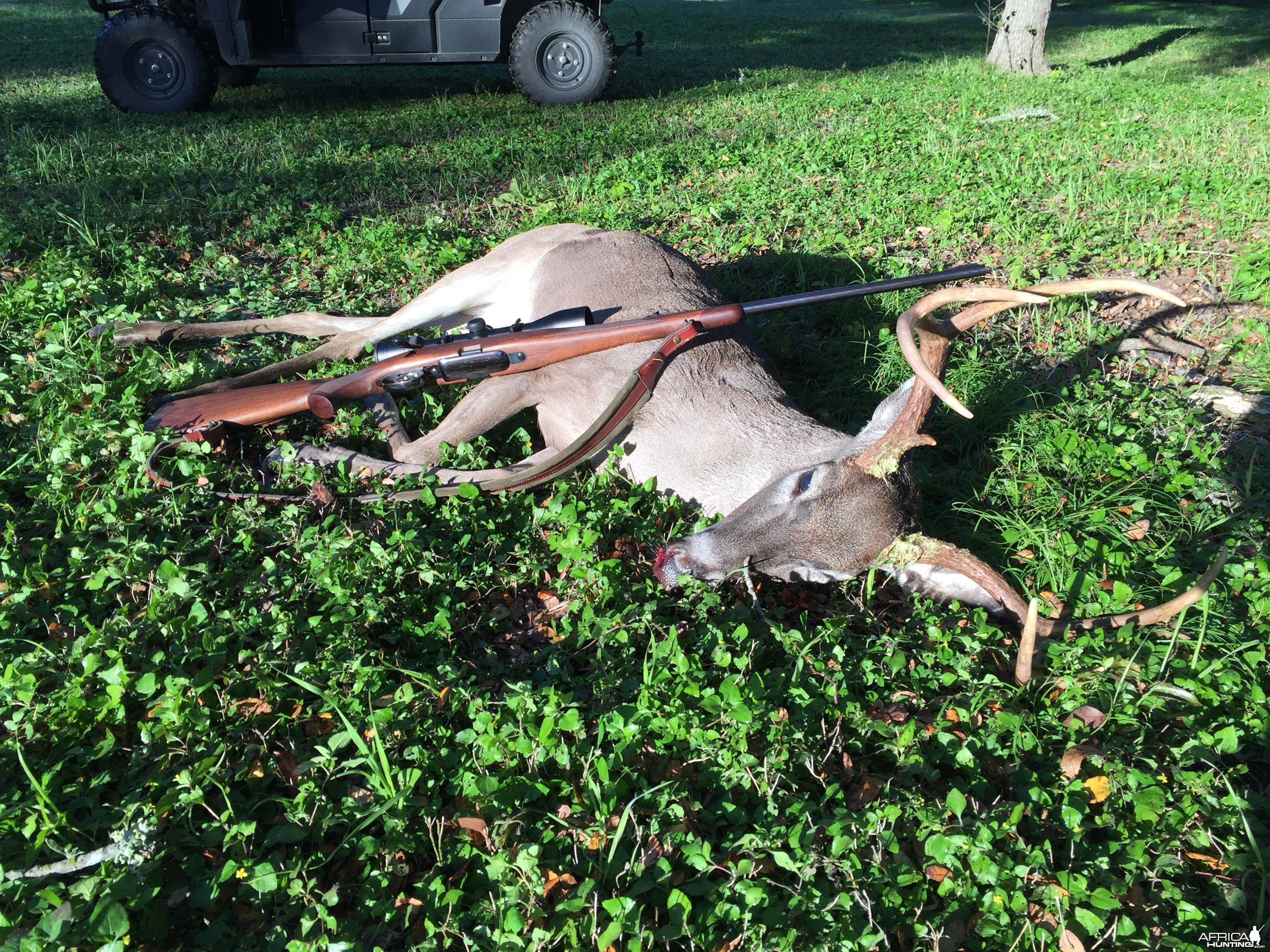 First buck from the new place