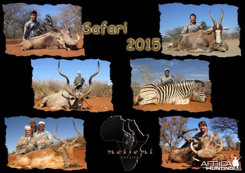 Motsomi Safaris