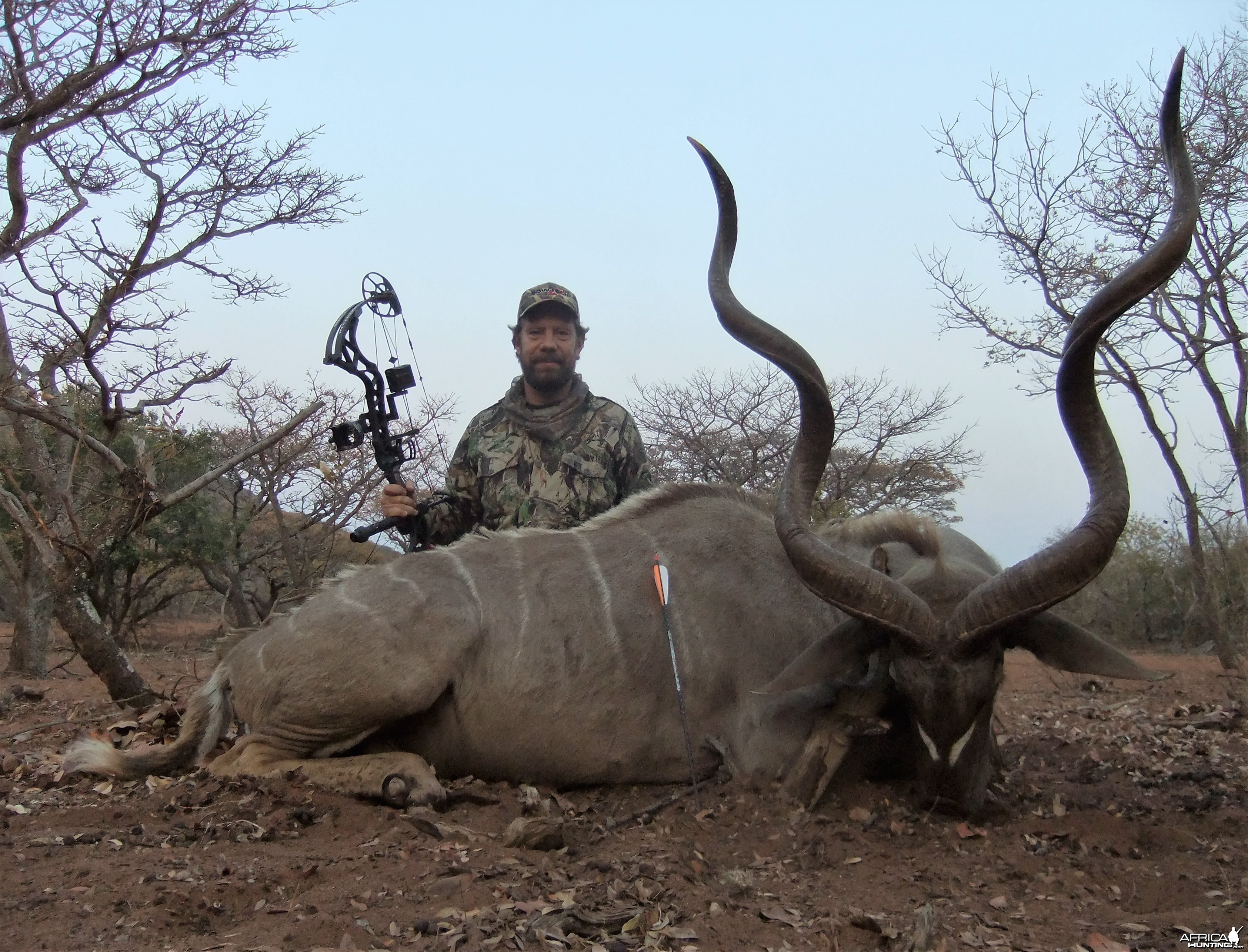 Kudu