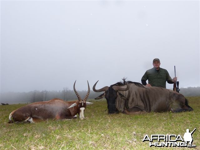 Blue Wildebeest &amp; Blesbok