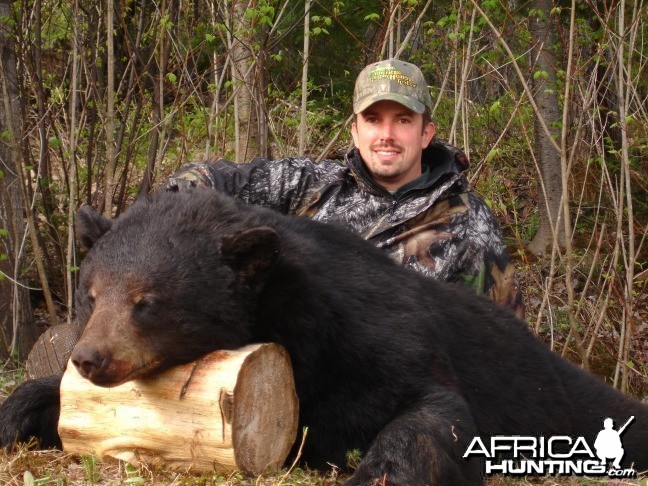 330 pound black bear shot in Quebec in May 2008