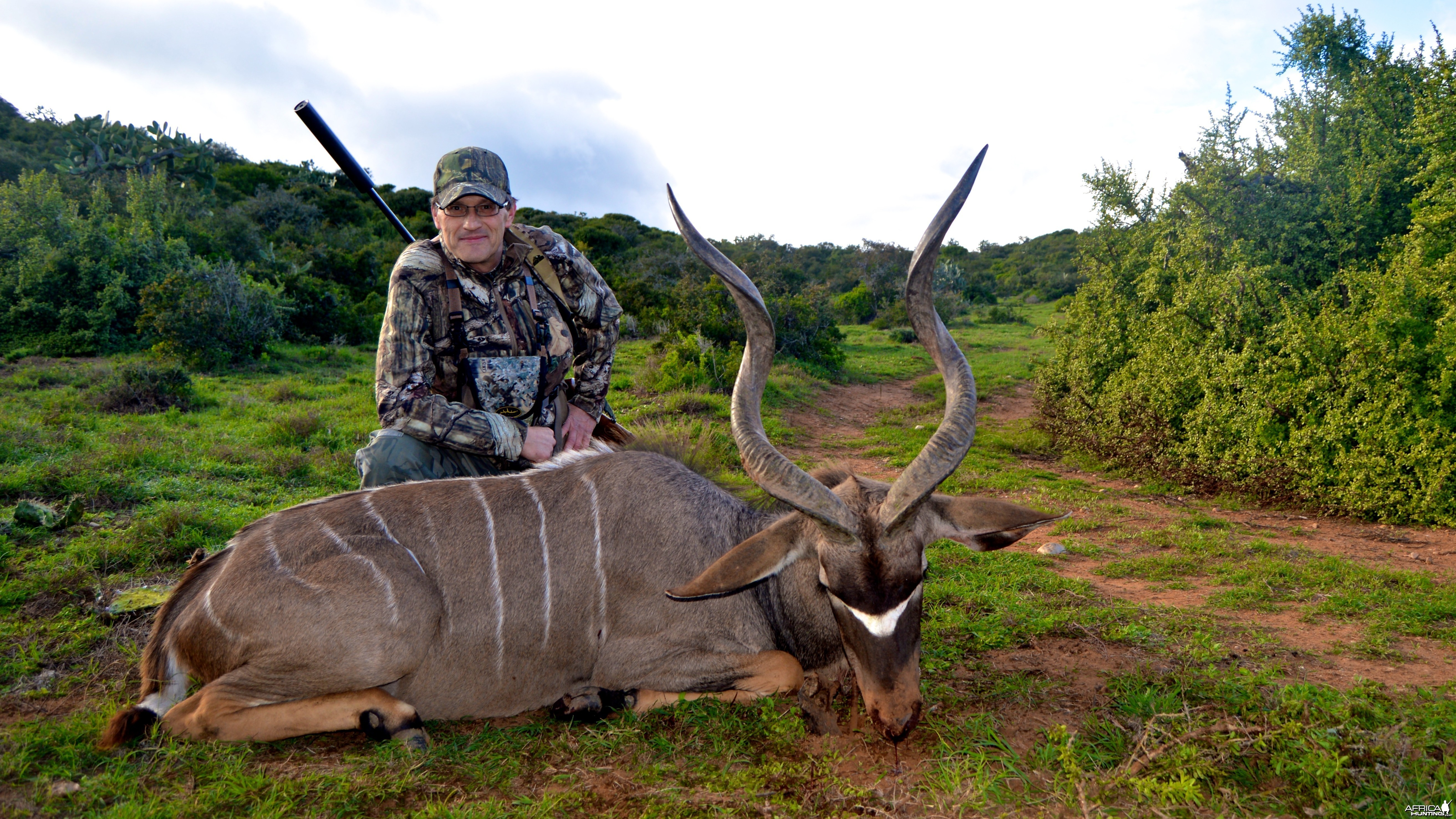 Kudu