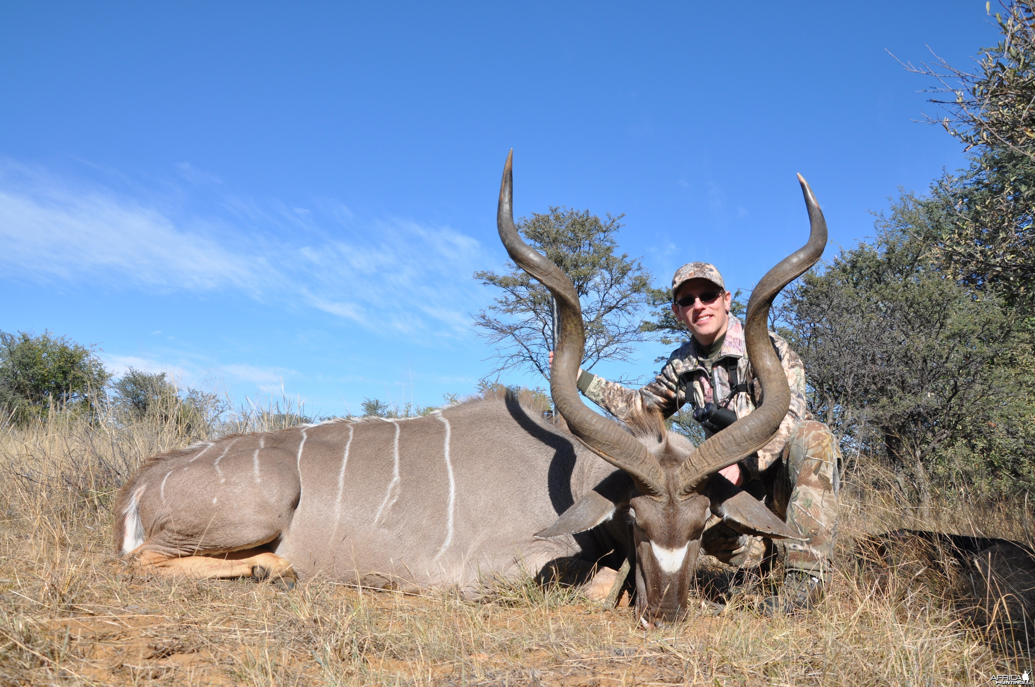 Kudu hunt