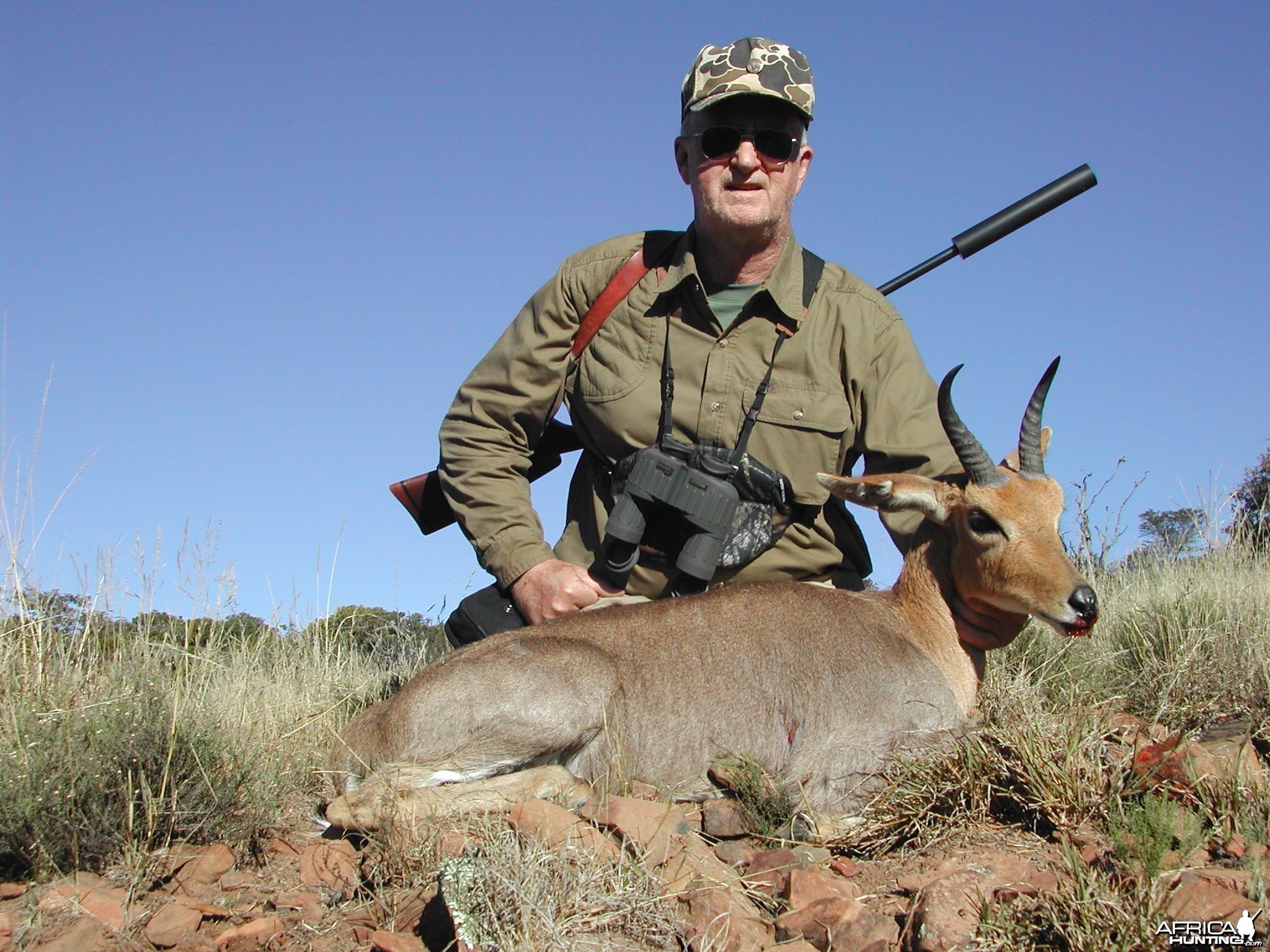 Mountain Reed Buck