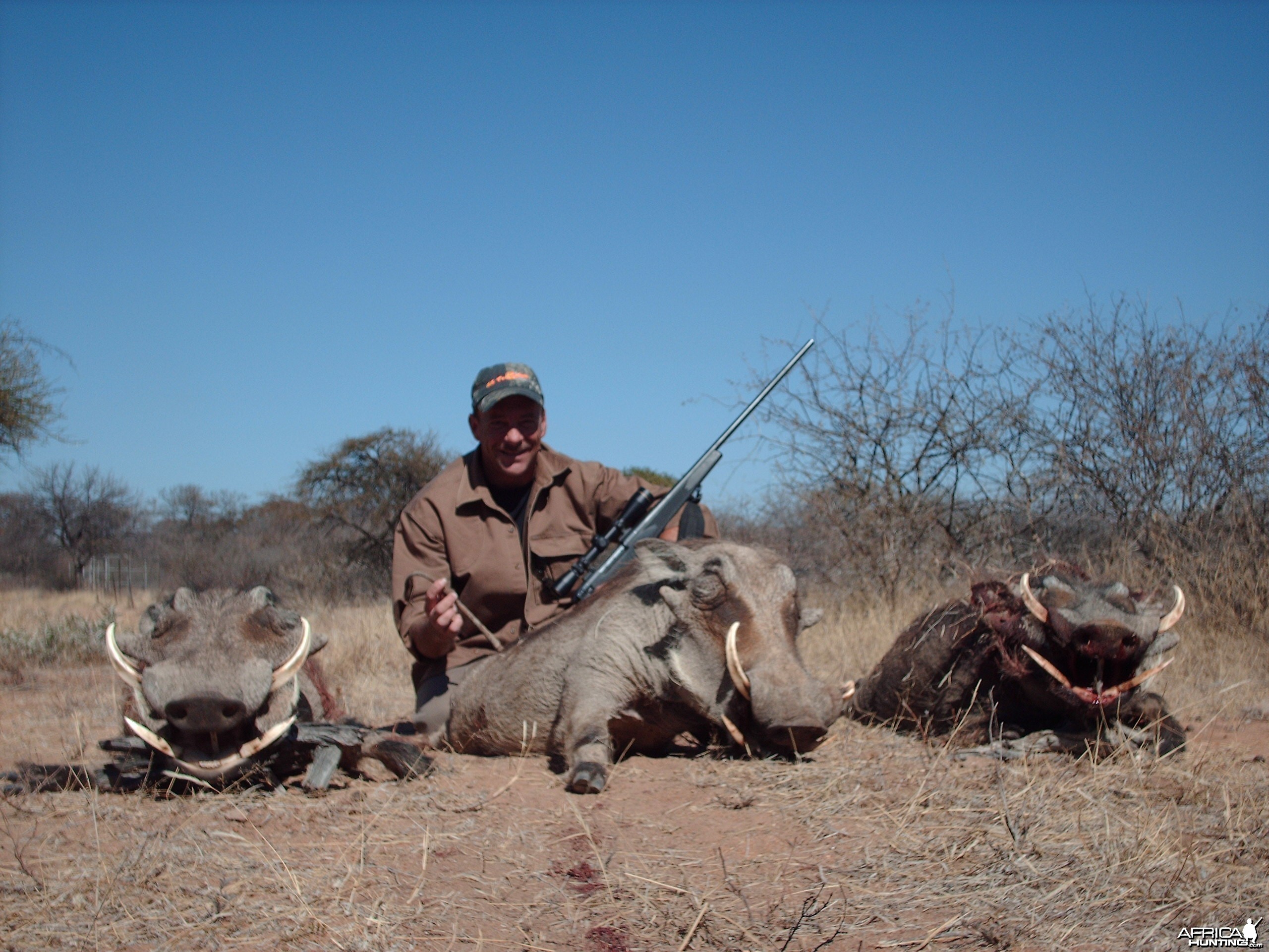 Warthogs Limpopo 2007