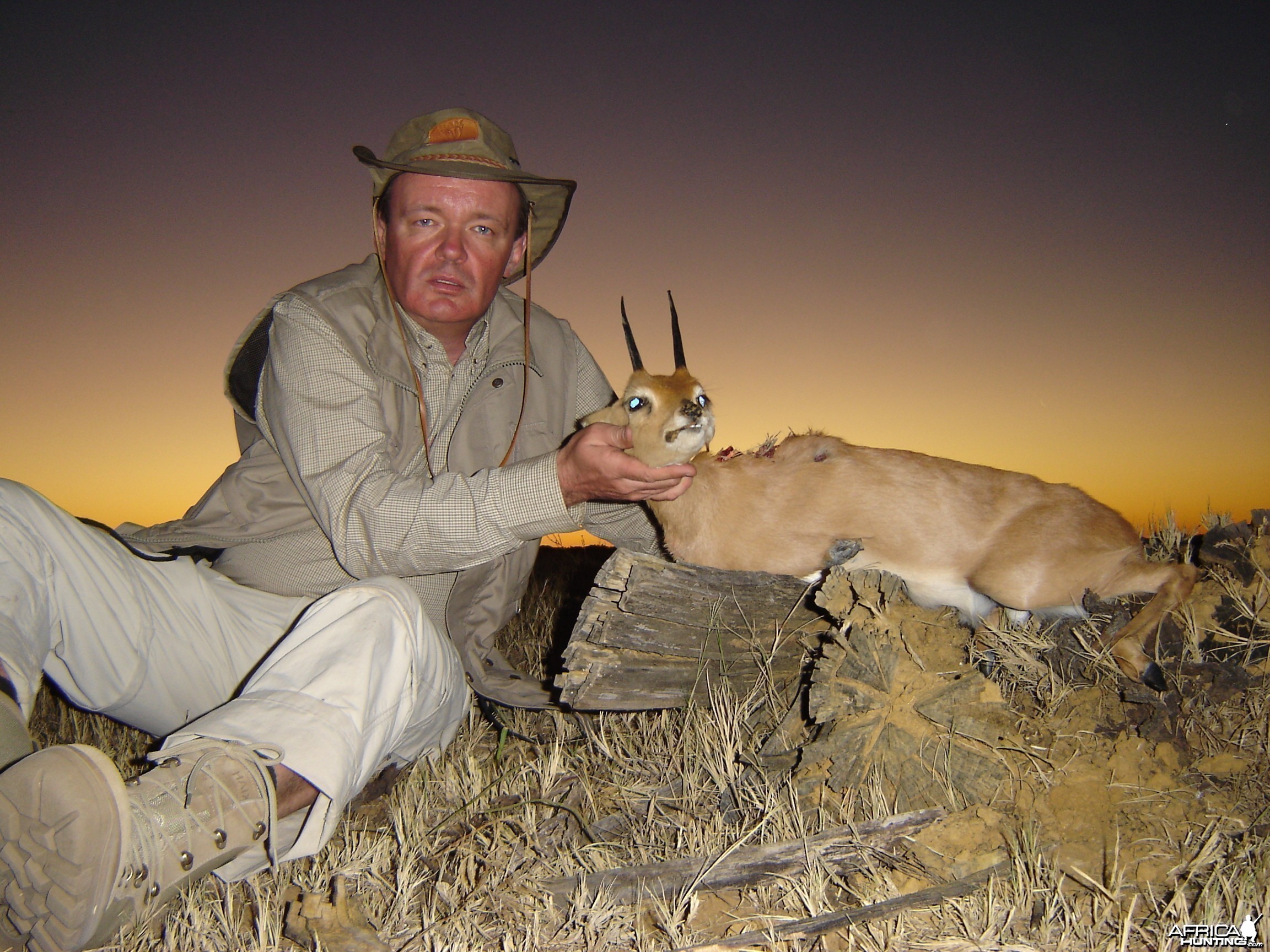 Steenbok