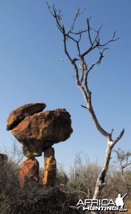 Waterberg Plateau in Namibia