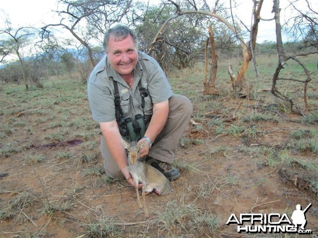 Guenther Dik Dik Hunted in Uganda