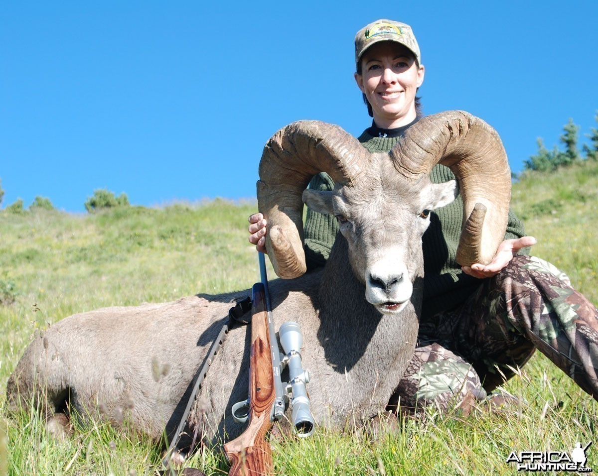 Bighorn Sheep '07 - New Mexico