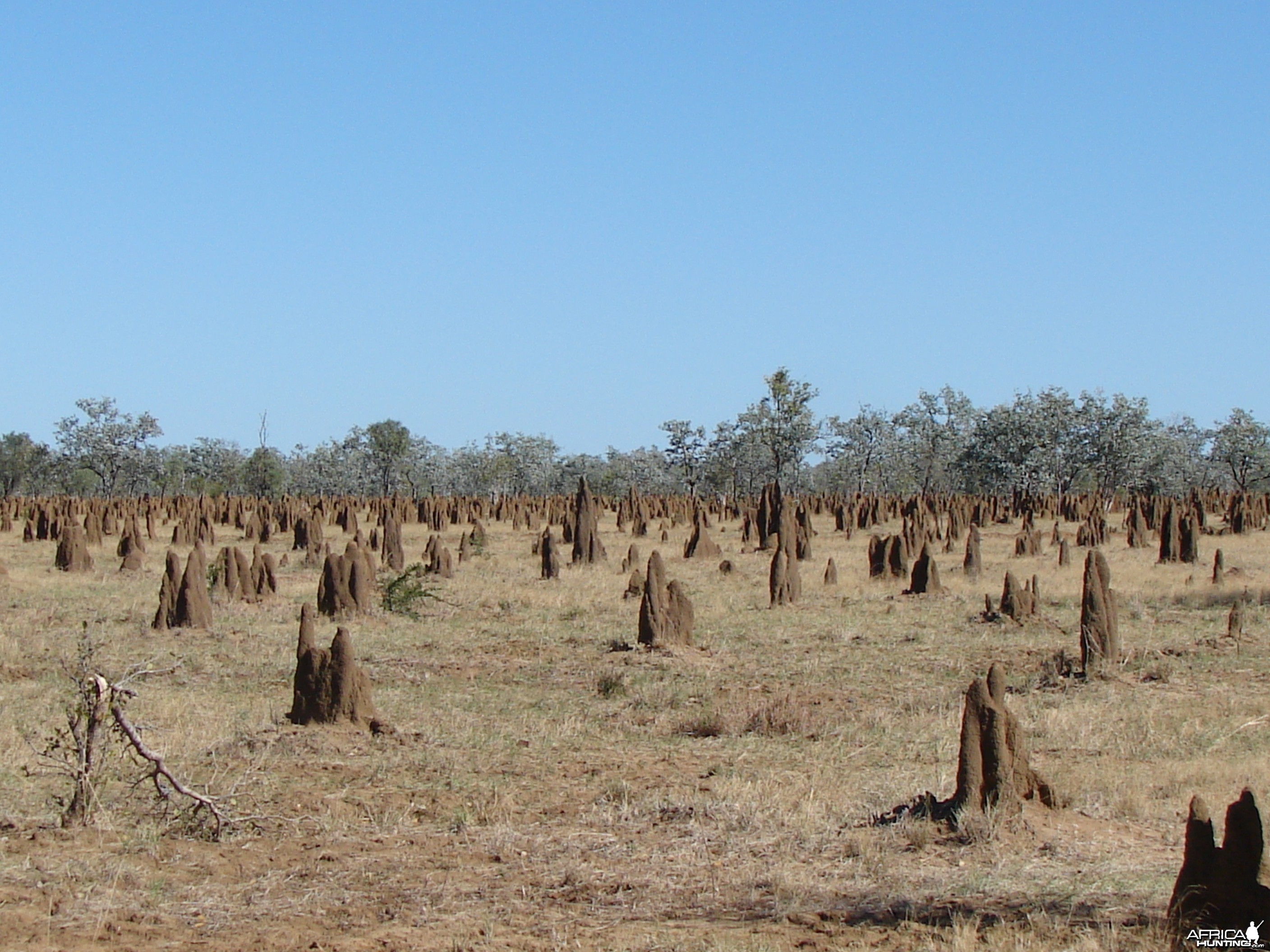 Arnhemland scenery &amp; wildlife.