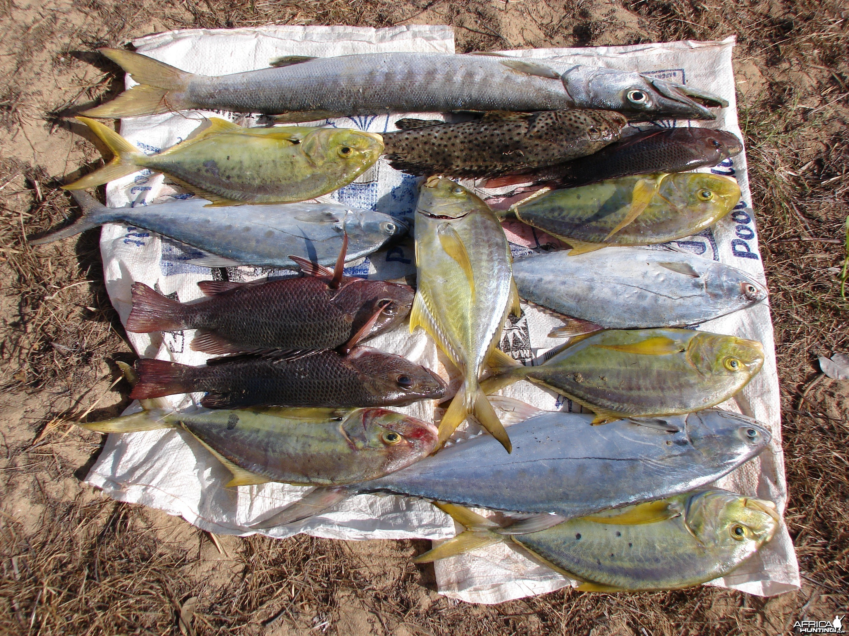 Arnhemland scenery &amp; wildlife.