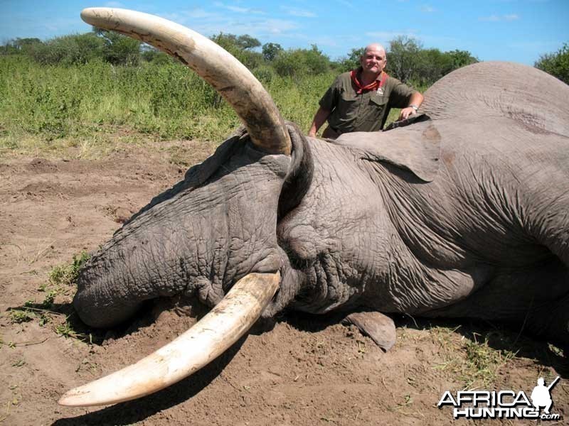 104 &amp; 99 pound tusker taken with Johan Calitz Safaris in Botswana