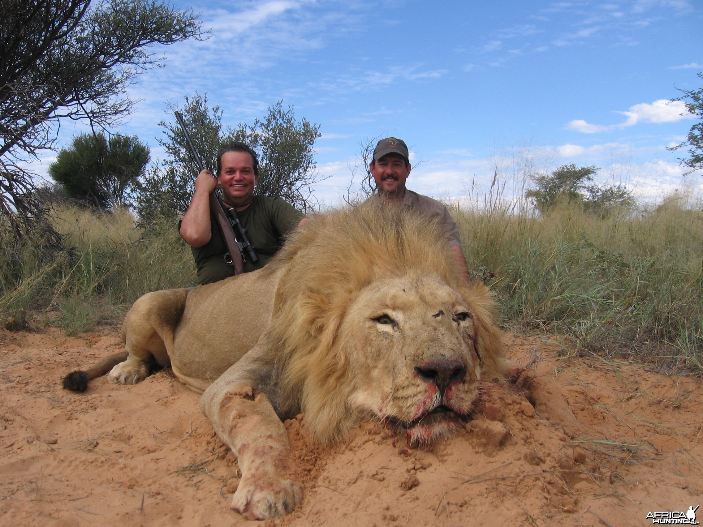 My first Lion - South Africa