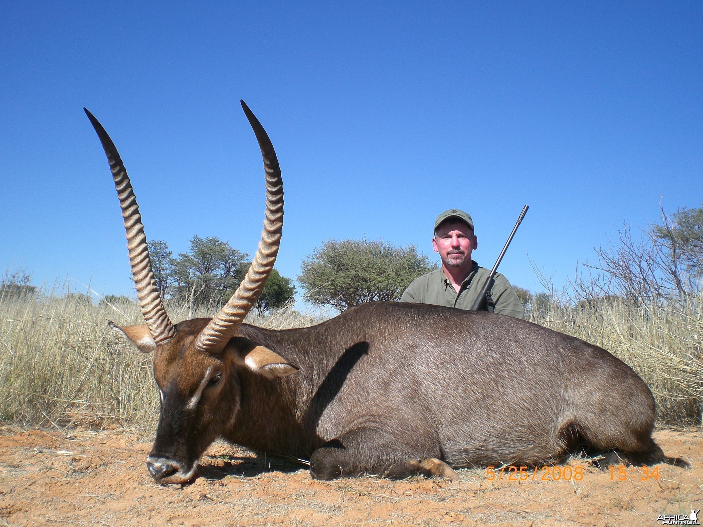 Waterbuck hunt in Northwest Province SA