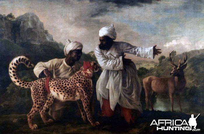 Indian Cheetah ready for the hunt, 1765