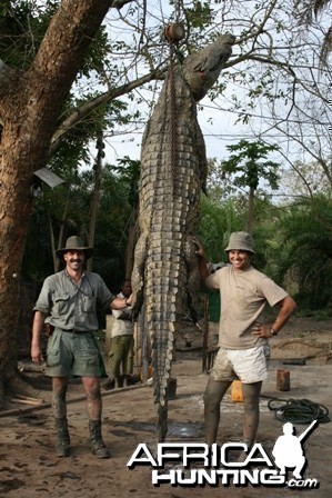 Crocodile hunted in Mozambique