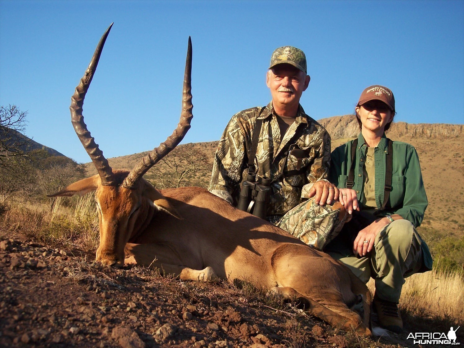 Impala Hunt East Cape South Africa