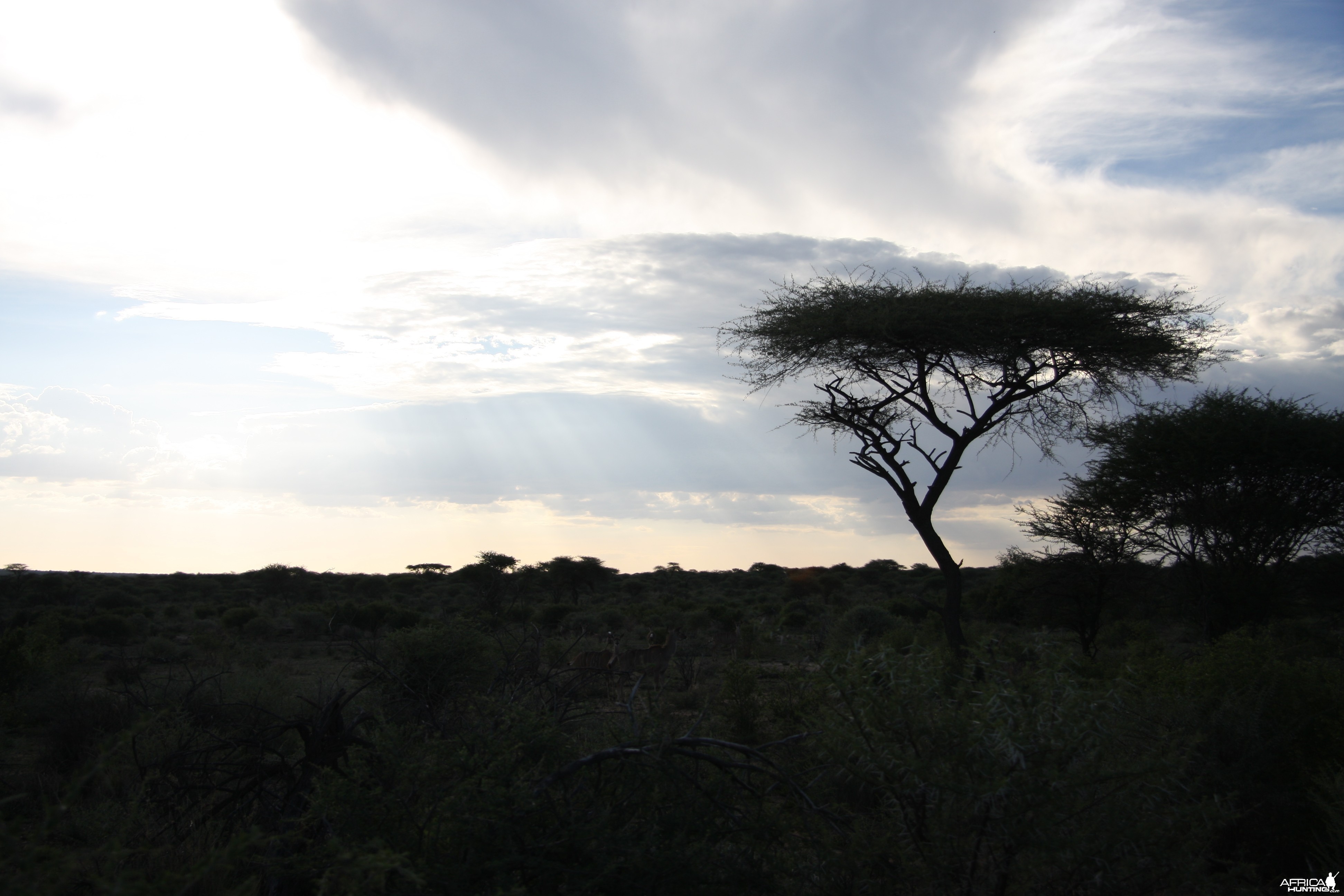 Namibian sky