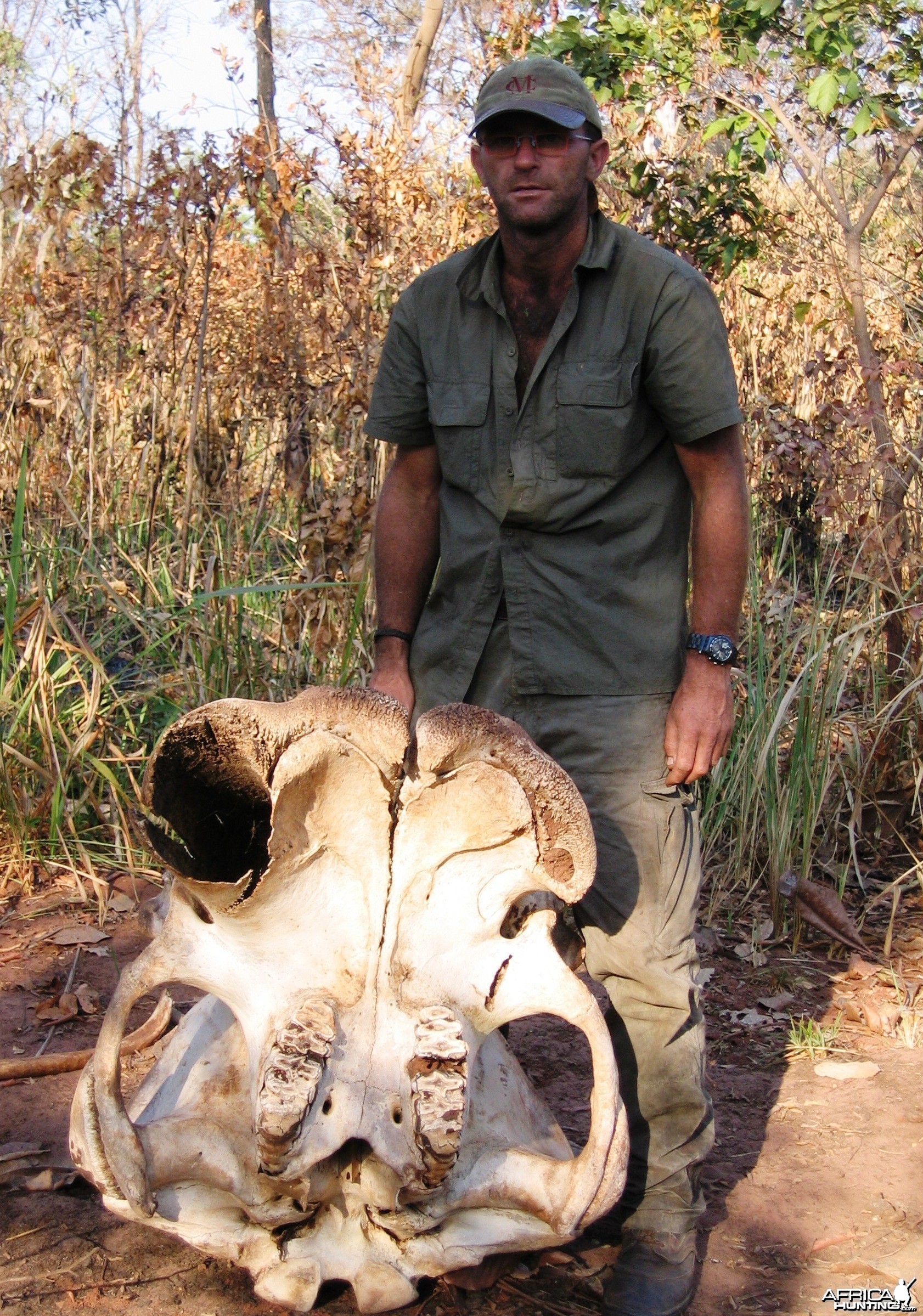 Mono tusker skull found in CAR!!!!