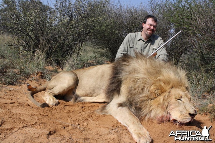 Lion Hunted in South AFrica