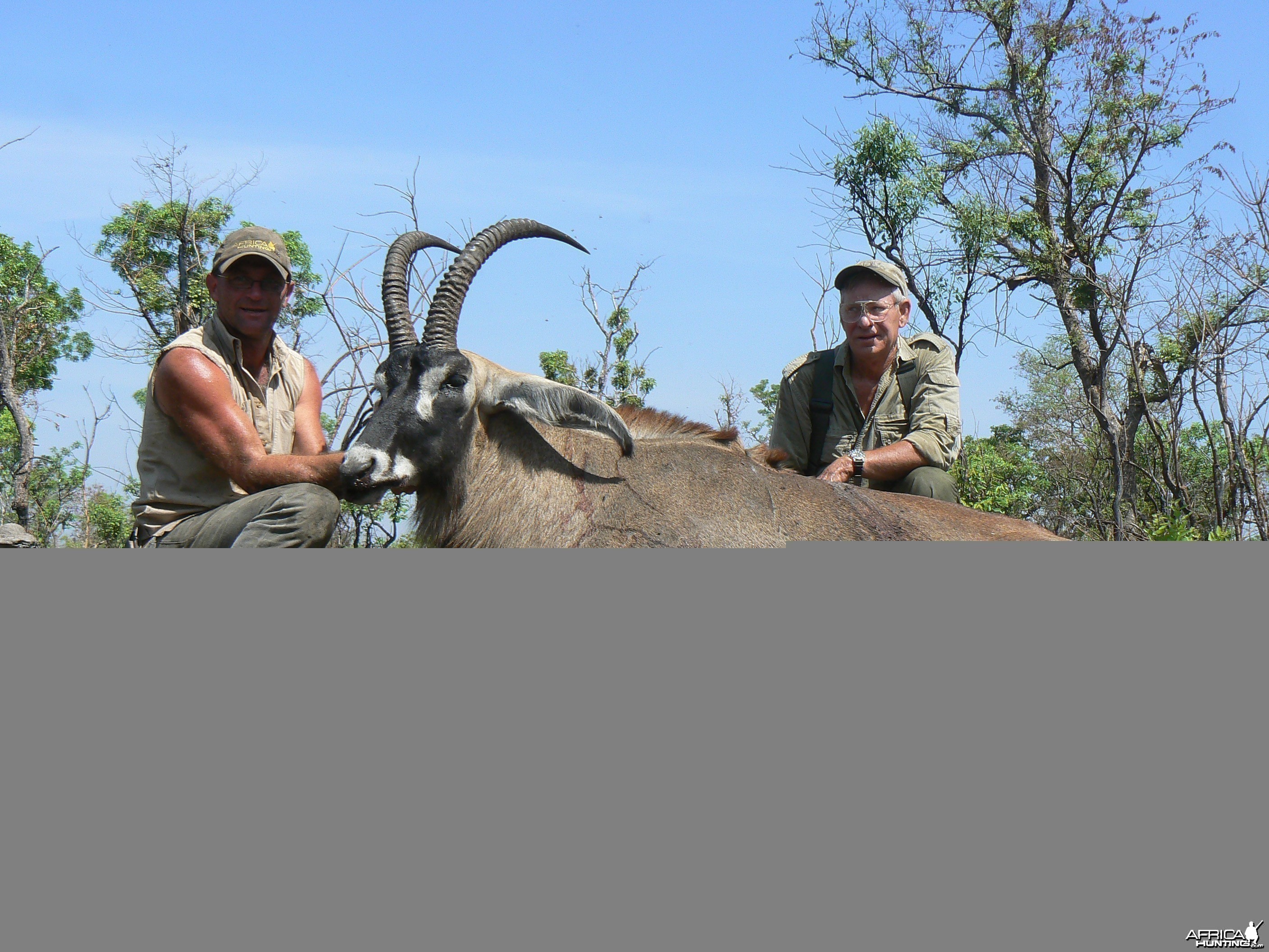 Very good 28 inches roan bull hunted in Central African Republic