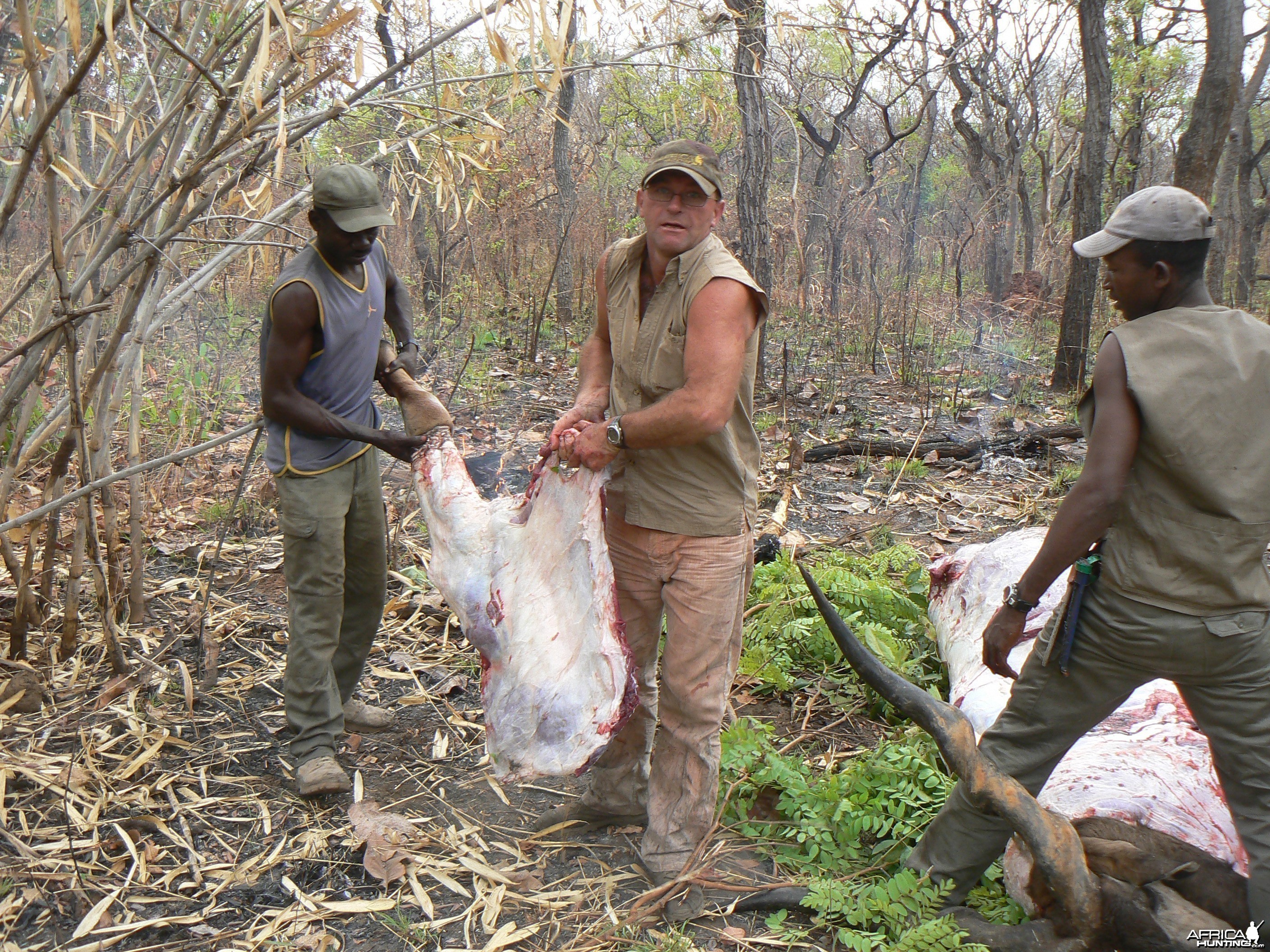 Skinning Derby eland CAR