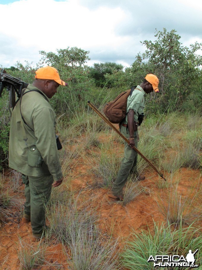 Tracking in Namibia Waterberg Plateau