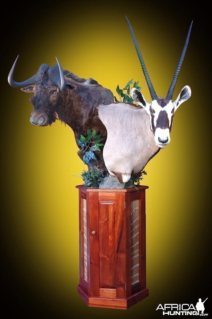 Gemsbuck and Black Wildebeest pedestal