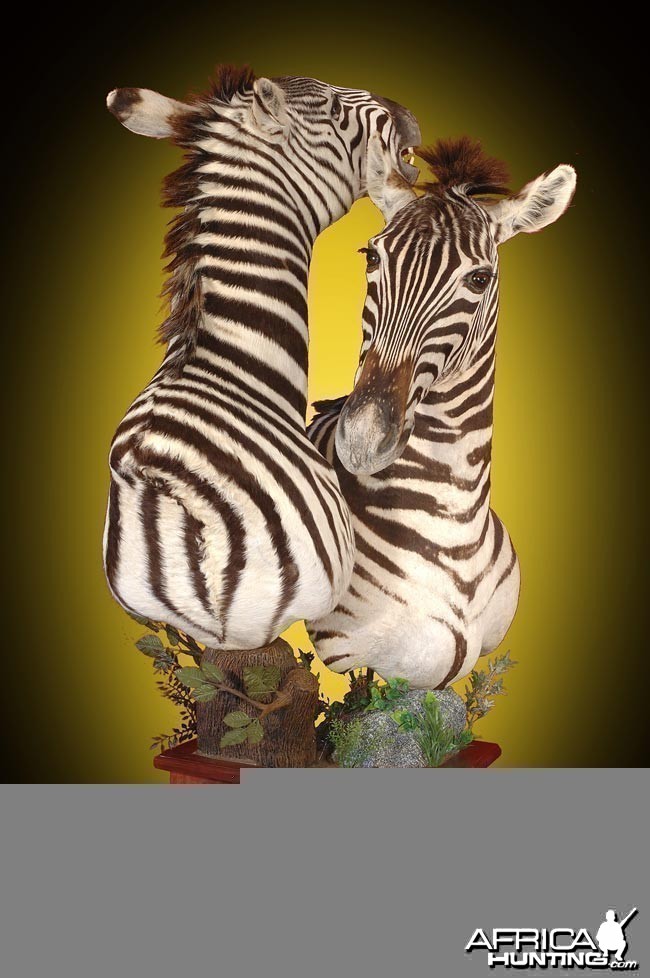 Zebra pedestal mount