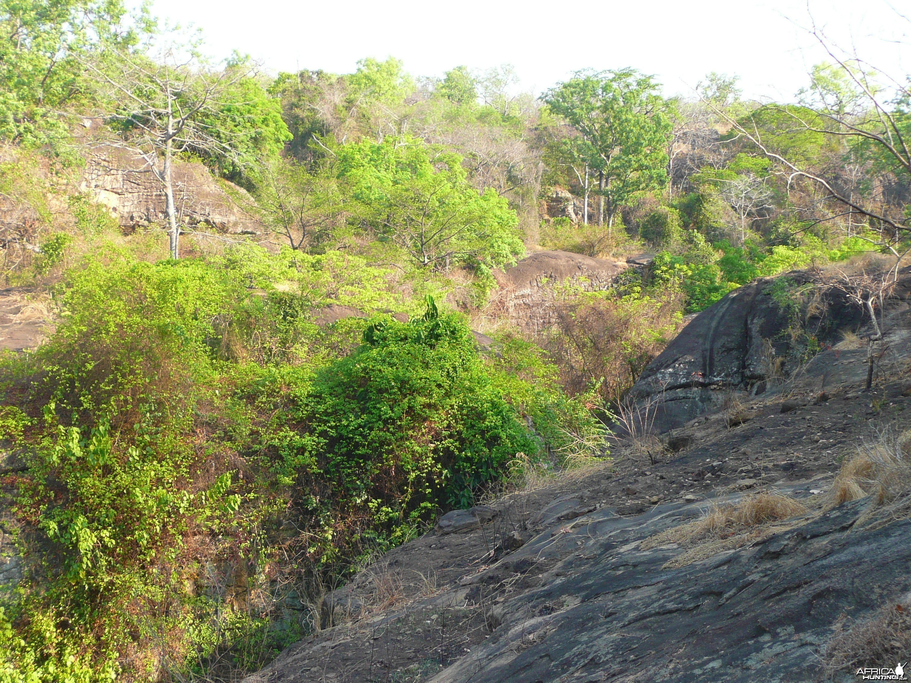 Hunting Central African Republic