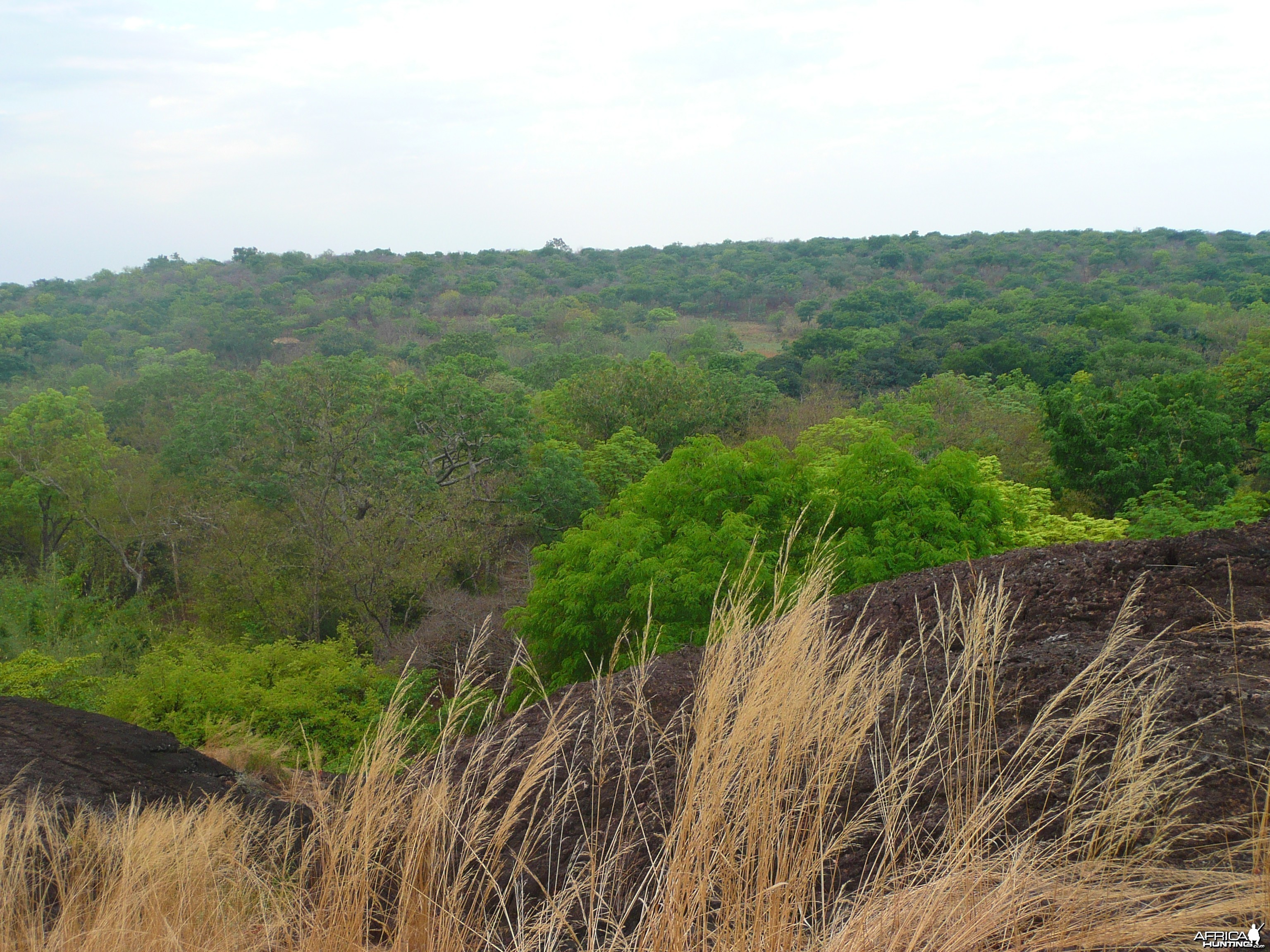 Hunting Central African Republic