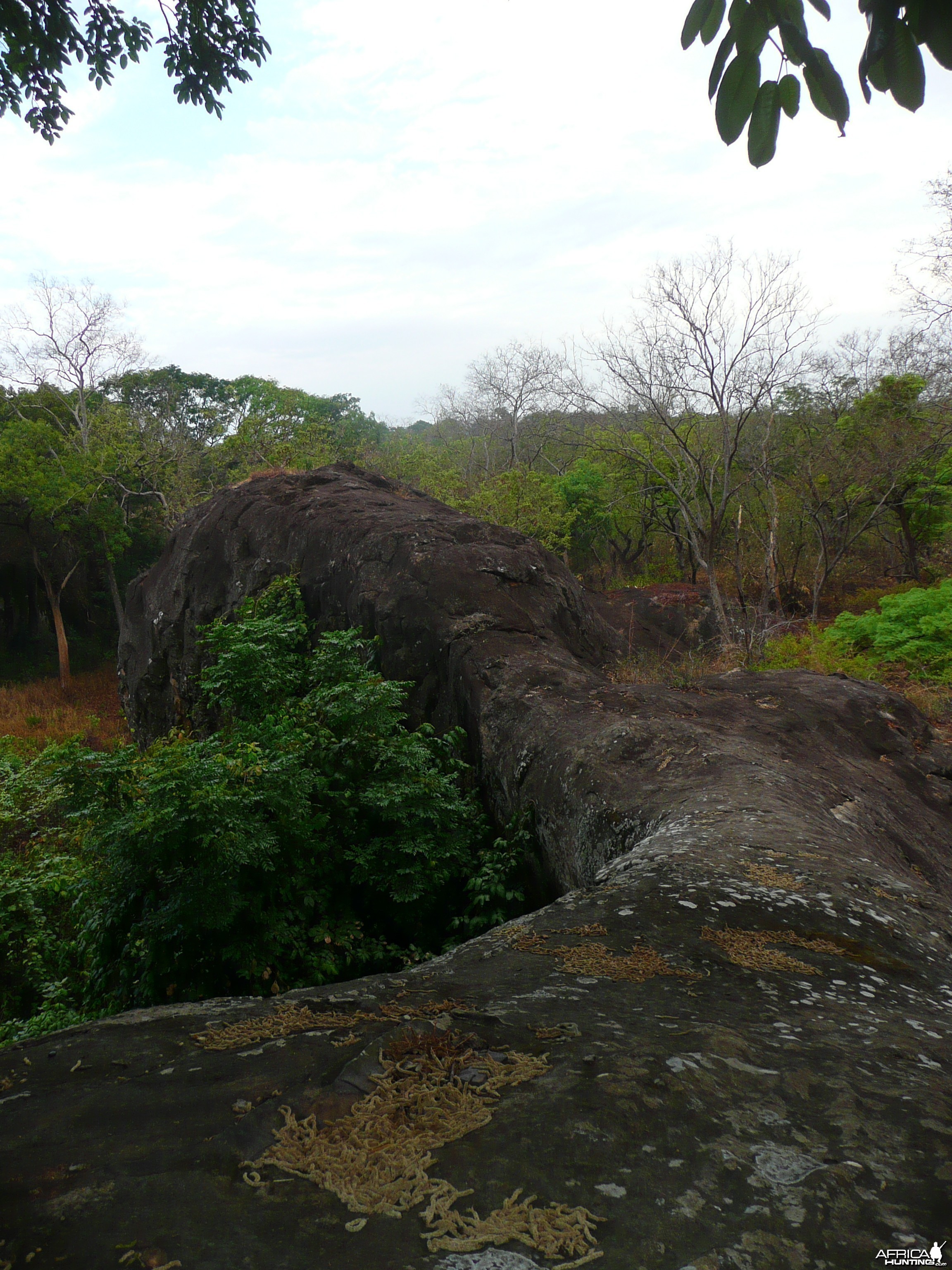 Hunting Central African Republic