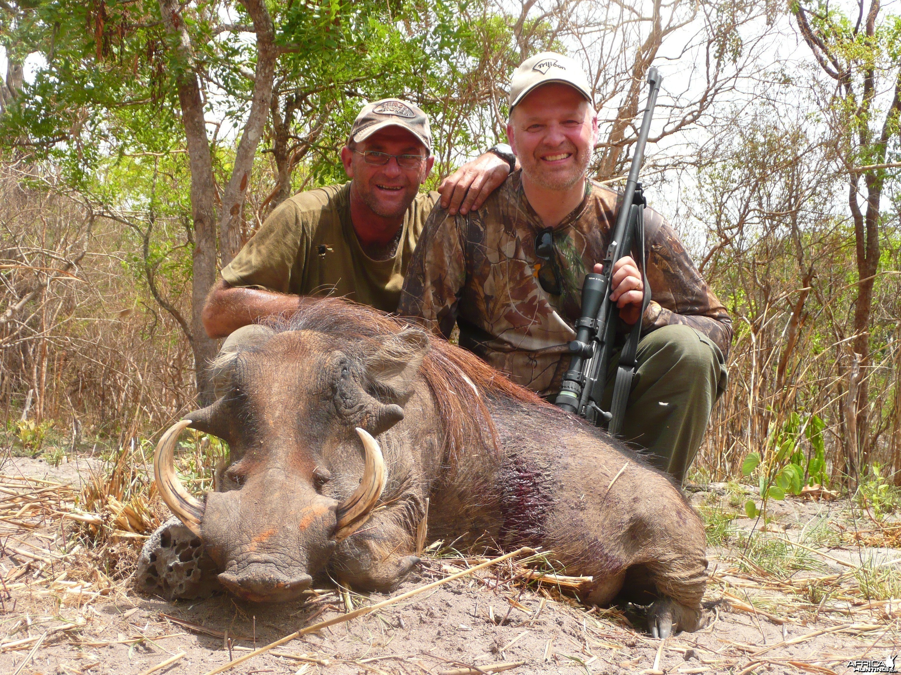 Hunting Warthog in Central Africa