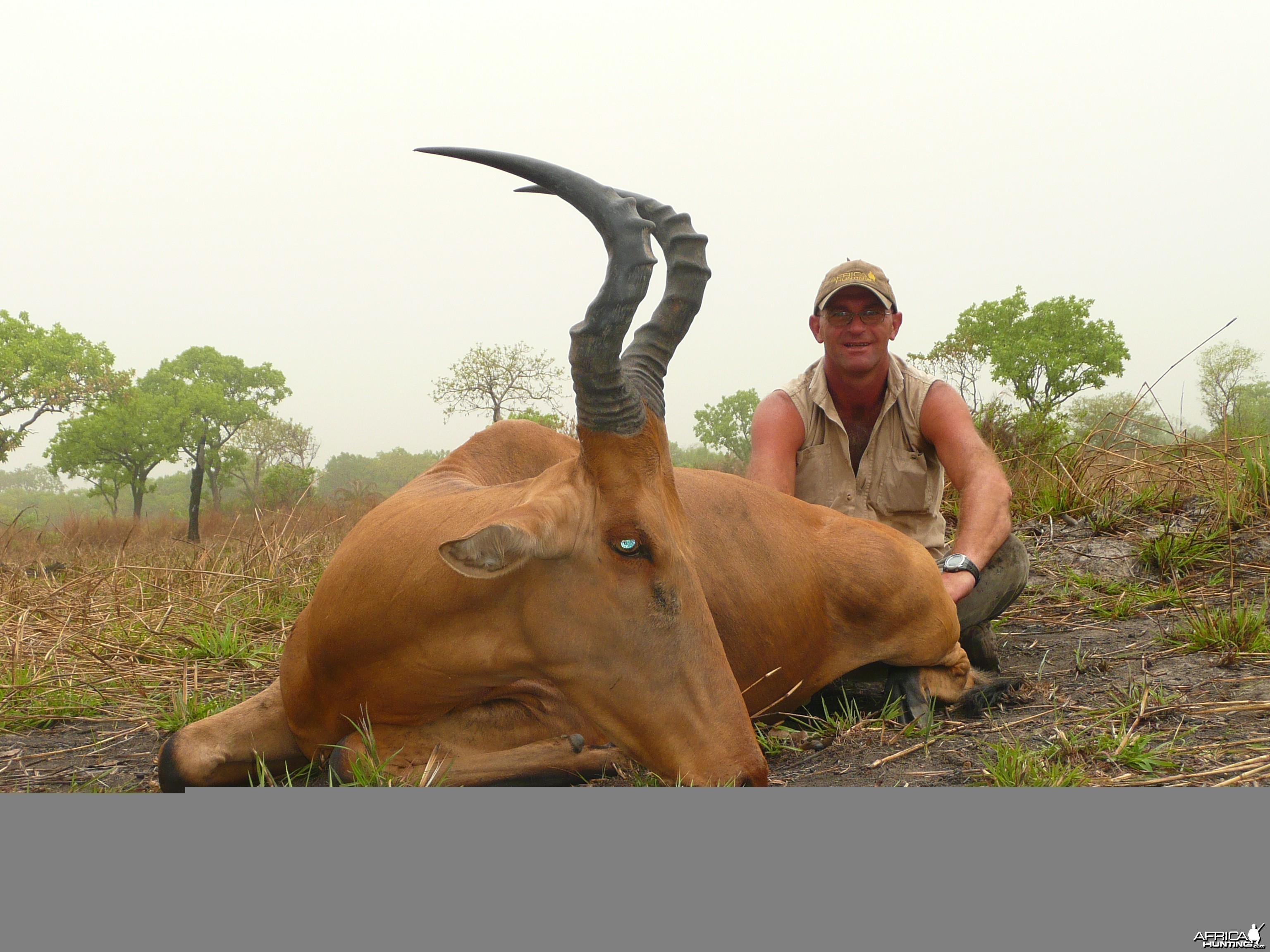 Very good 24' inches lelwel hartebeest hunted in Central African Republic