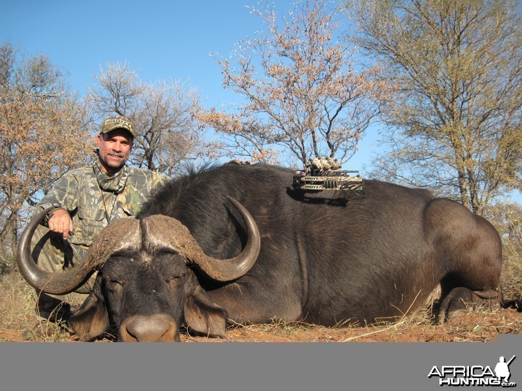 Cape Buffalo - Archery Hunt - 1 Arrow