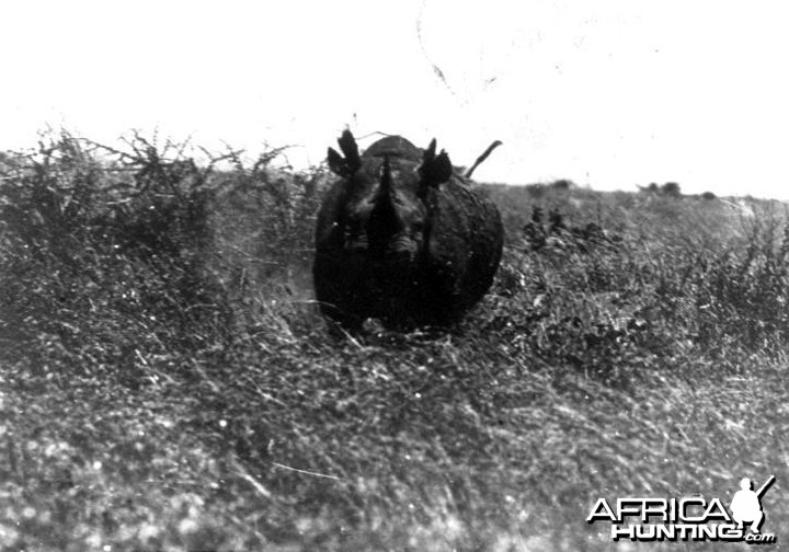 Theodore Roosevelt, black rhino