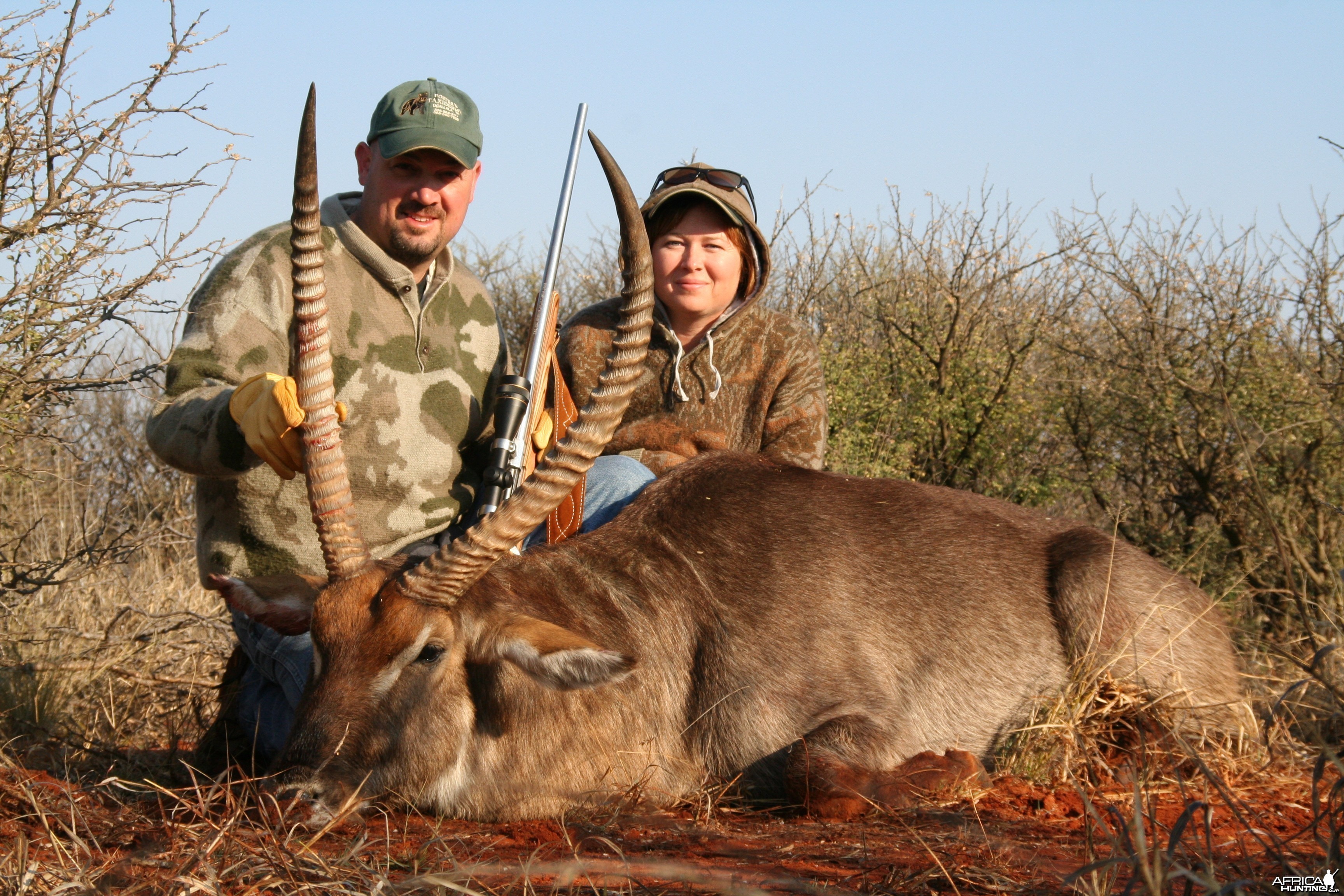 Waterbuck