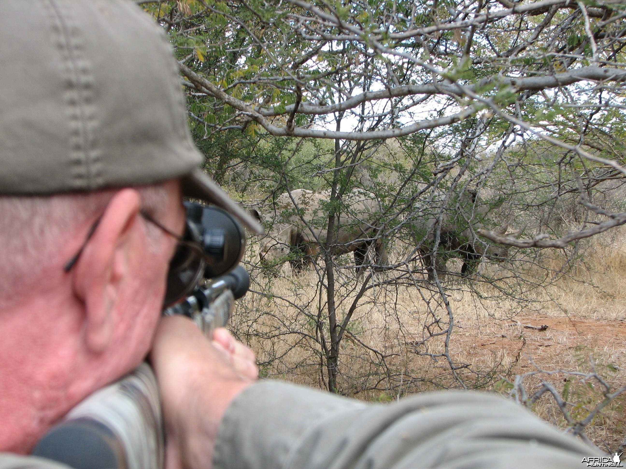 White Rhino Limpopo River Area