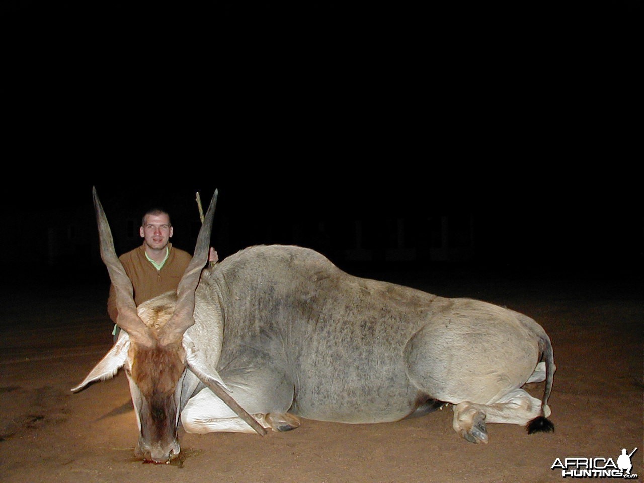 Hunting Cape Eland in Namibia