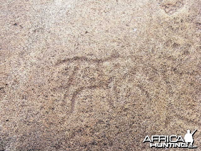 Rock carvings at Ozondjahe Hunting Safaris, Namibia