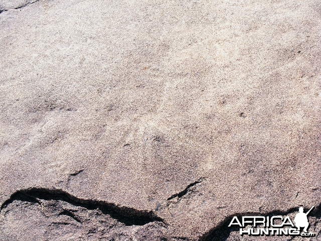 Rock carvings at Ozondjahe Hunting Safaris, Namibia