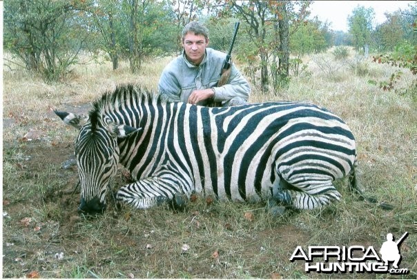 Burchell Zebra