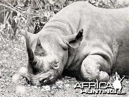 Black Rhino Hunt