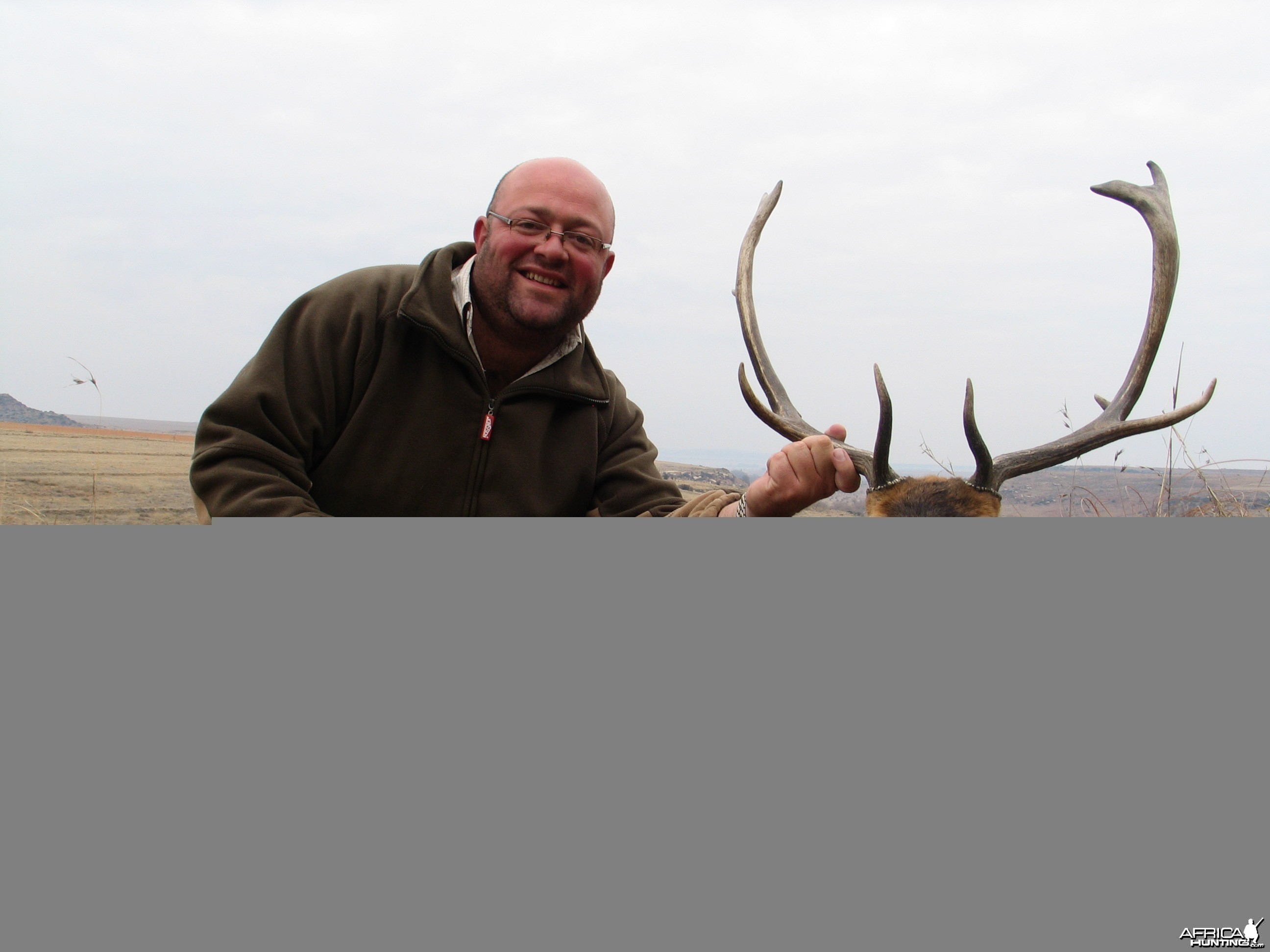 Fallow deer, Hunting with Clients