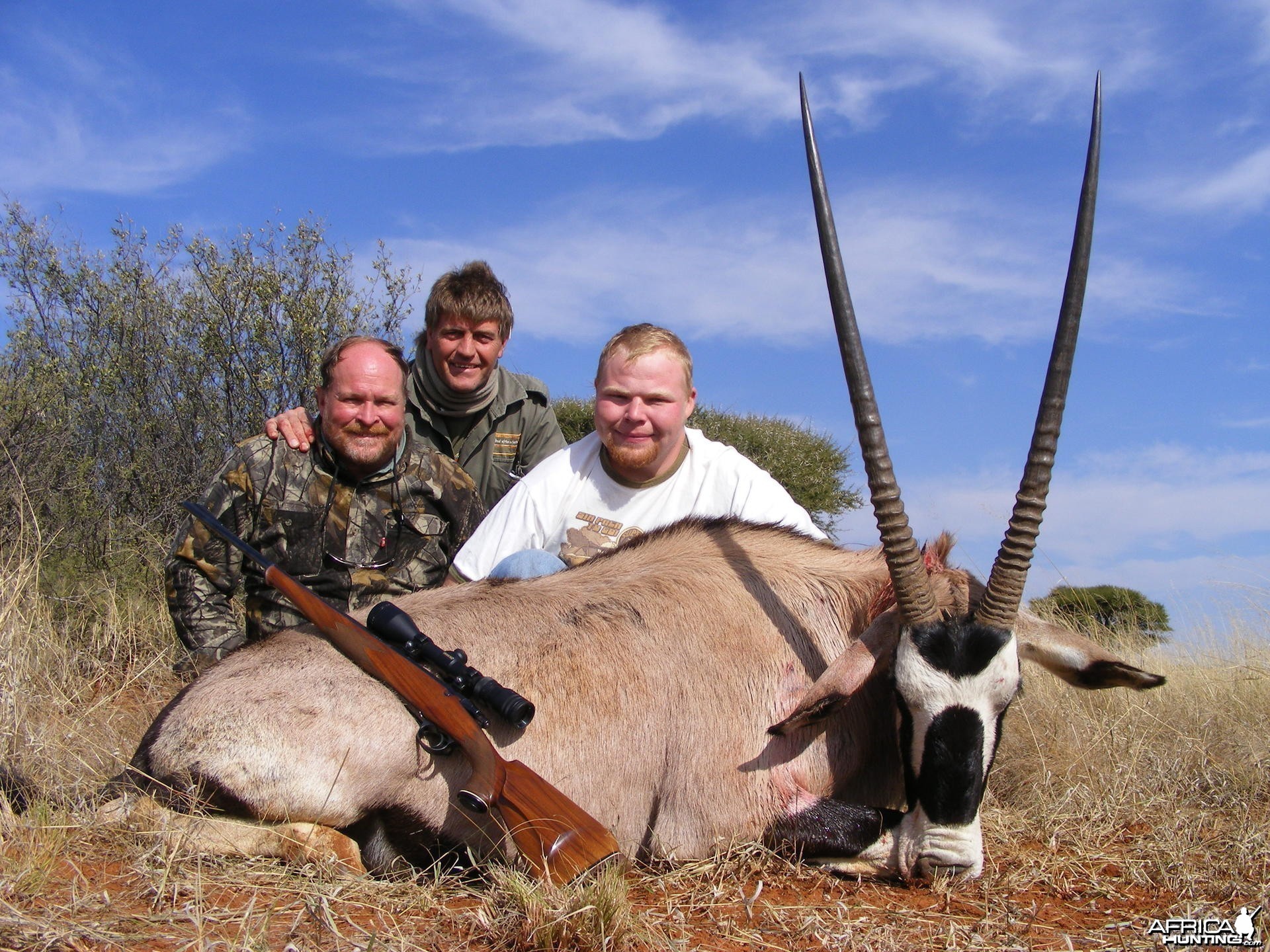 Gemsbok South Africa