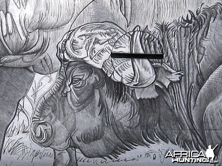 Cape Buffalo Engraving on Double Rifle