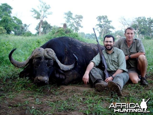 44&quot; Buffalo March 2010