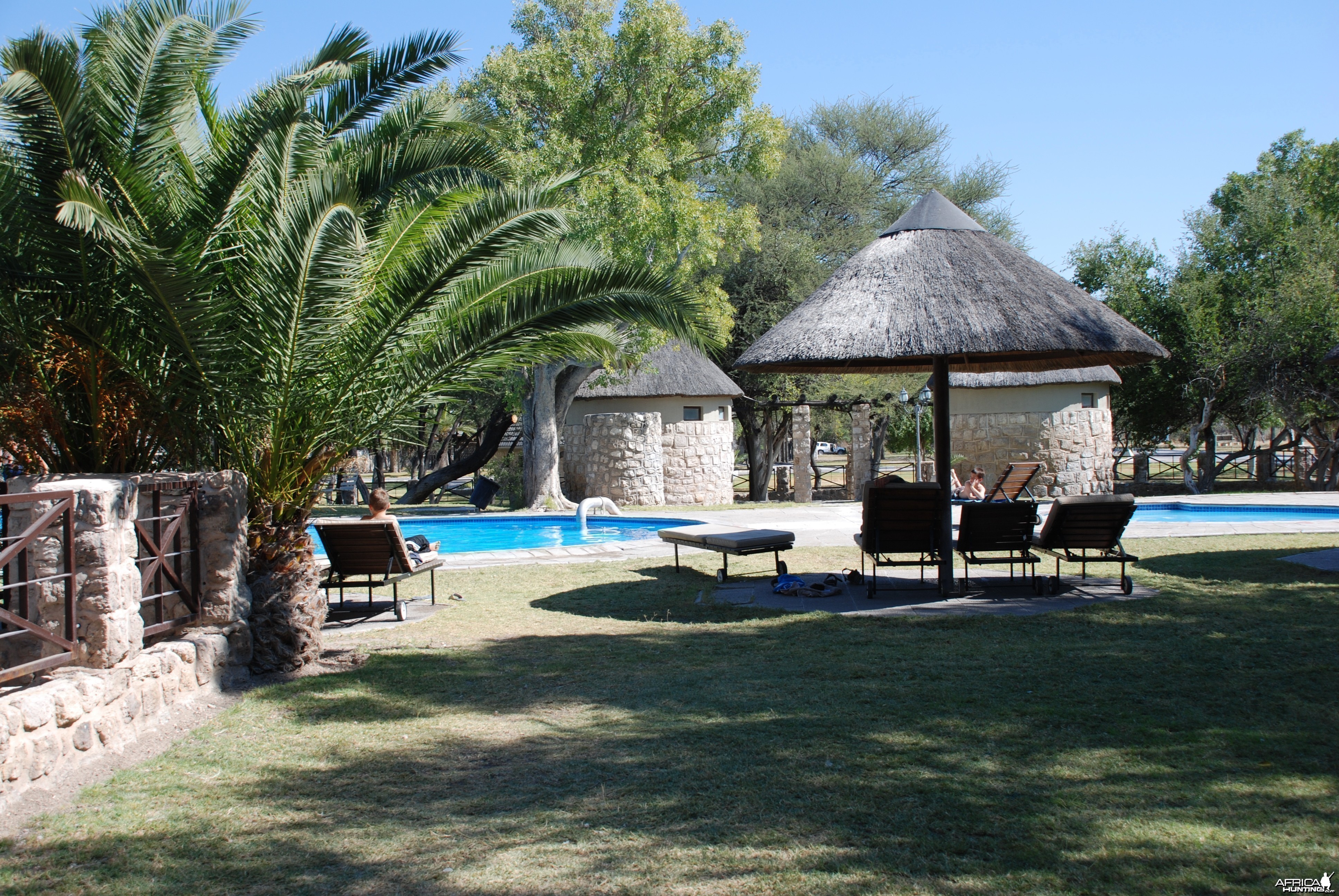 Etosha Namibia