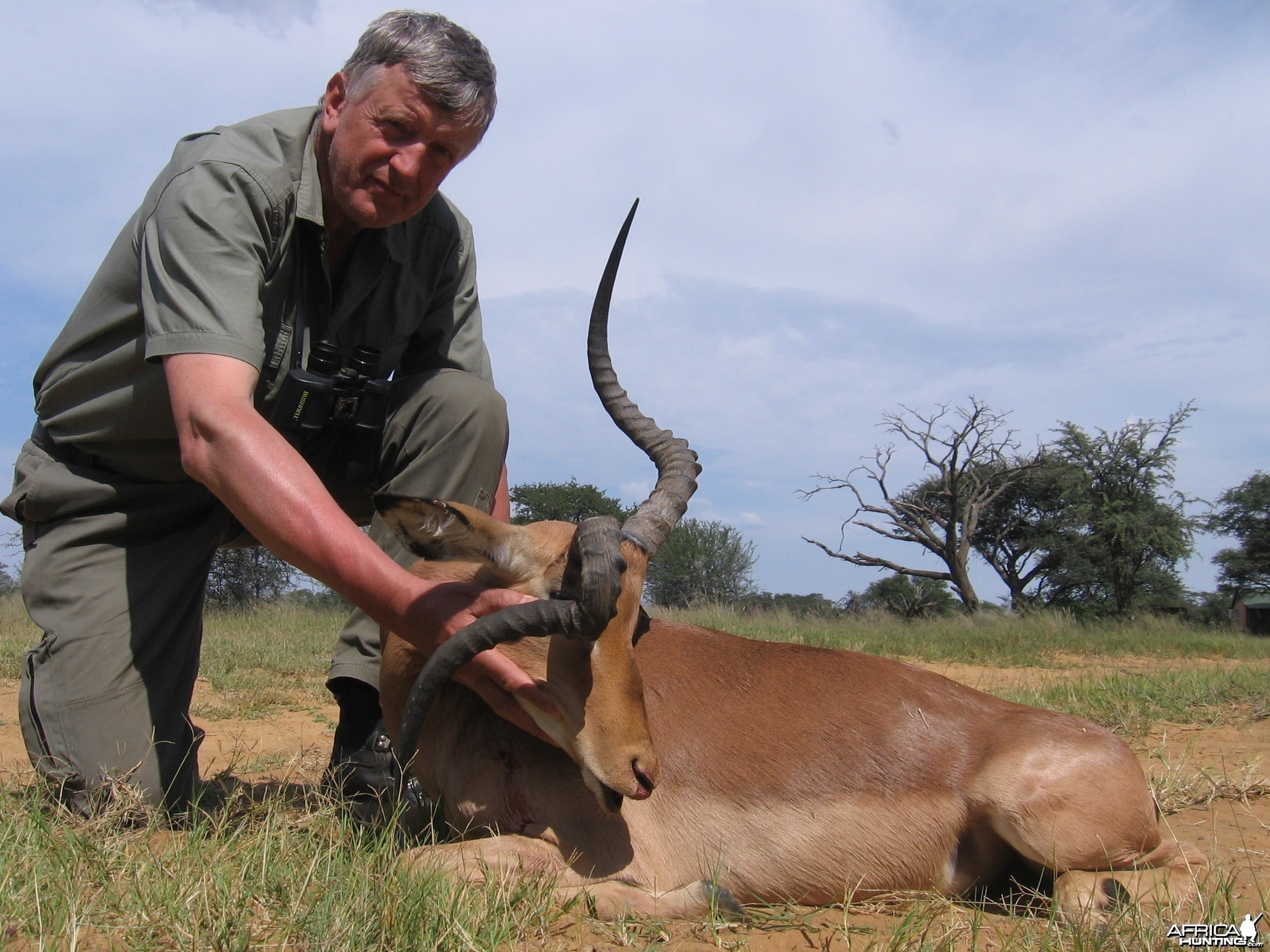 Impala