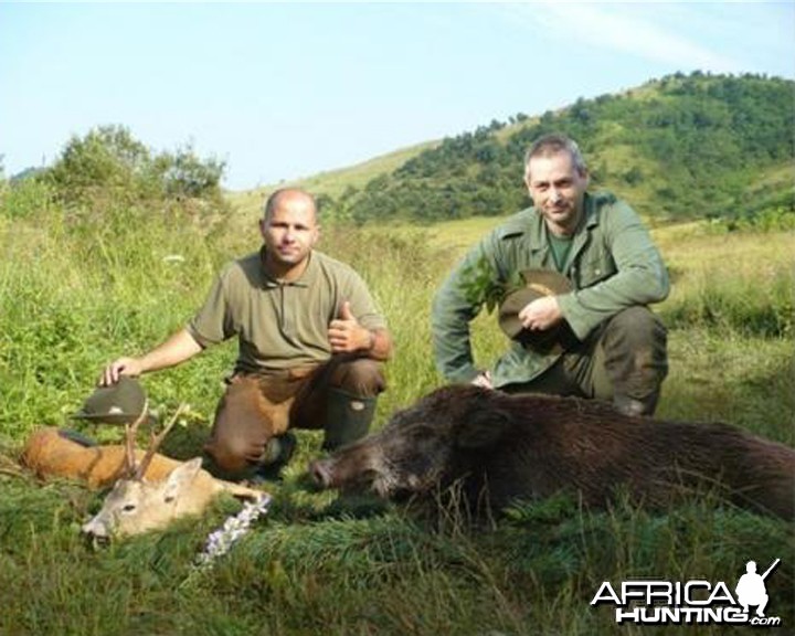 Hunting in Hungary Boar and Roe Deer